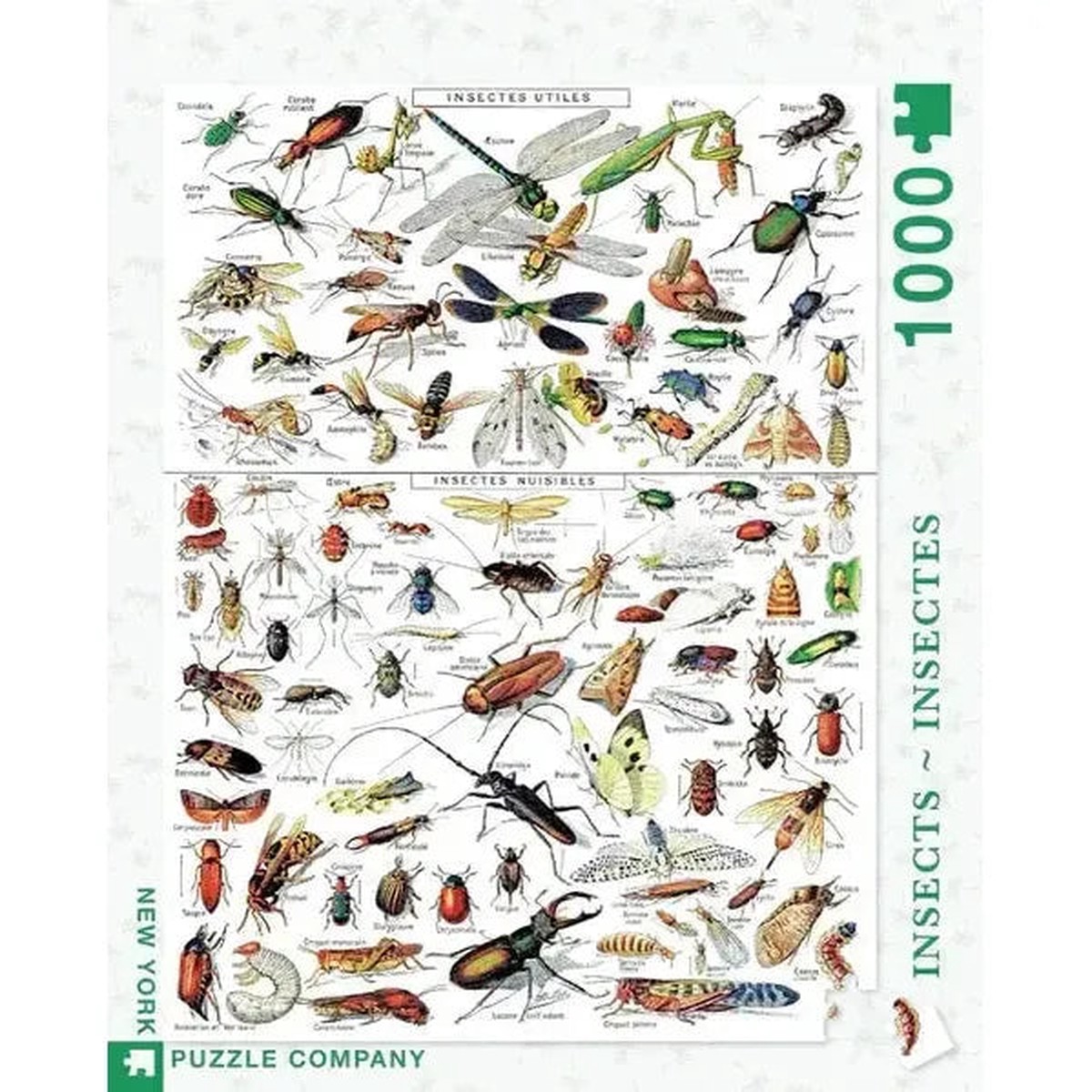 insects-1000-piece-jigsaw-puzzle-nypc
